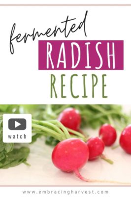 Fermented Radish