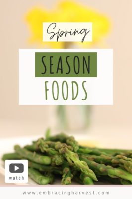 Spring Season Foods