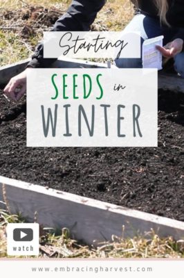 Starting Seeds Outside in Winter