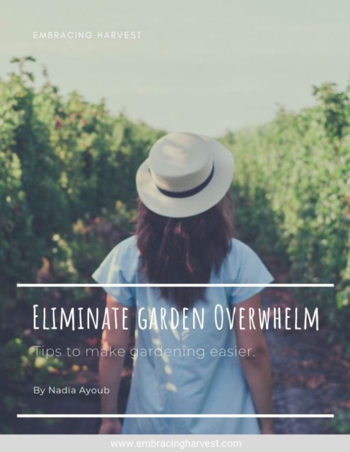 overwhelm in the garden