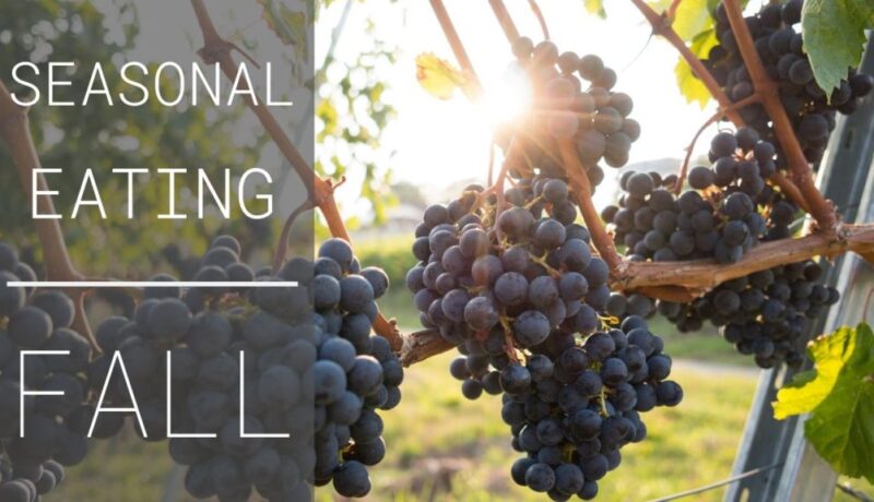 fall produce eating seasonally in fall autumn