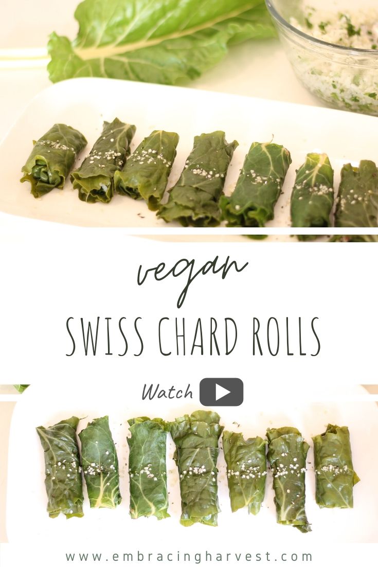 vegan swiss chard rolls pinterest