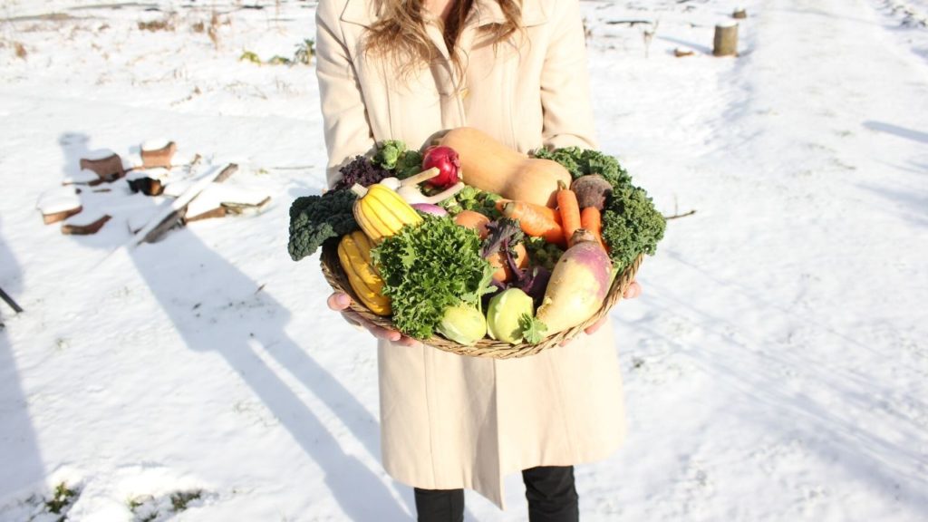 winter vegetables and free recipe book for farm-to-table eating in winter
