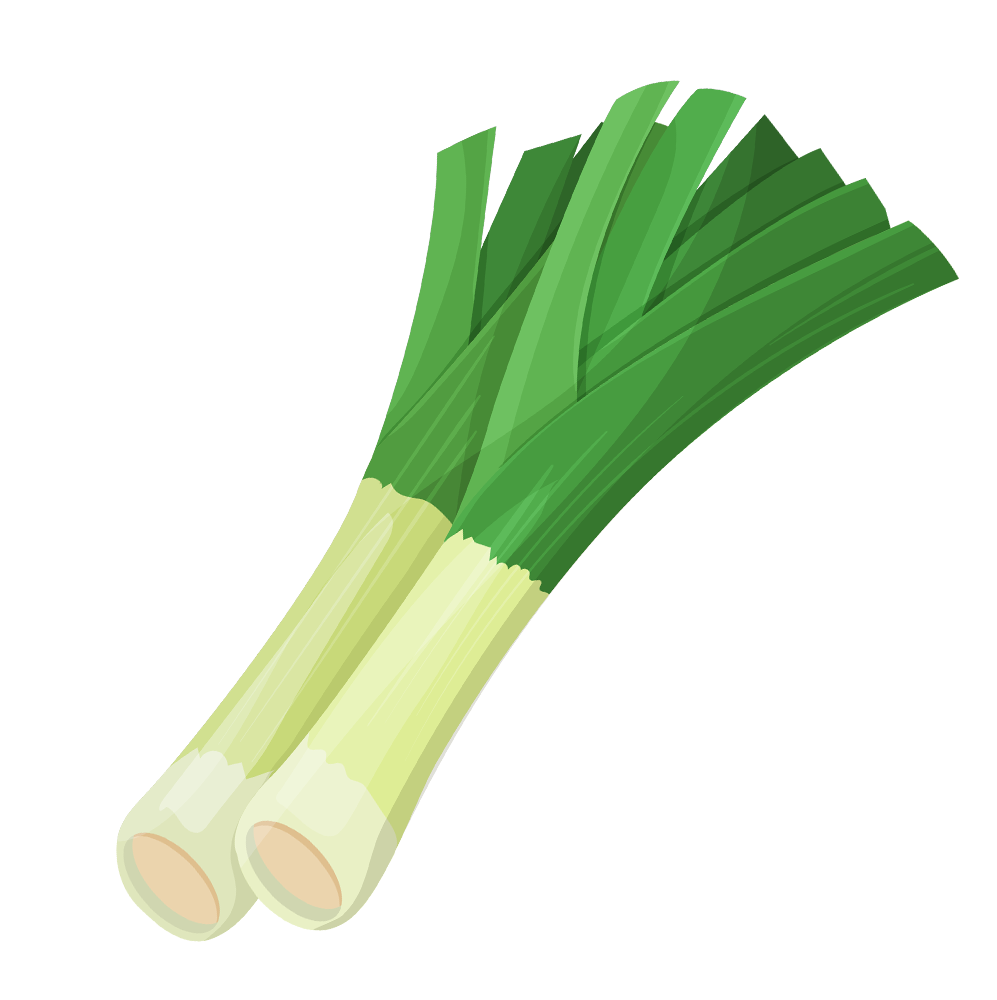 Leek Single - Embracing Harvest