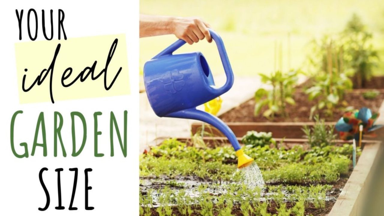 Hardy Herbs to Grow Outdoors This Fall | Embracing Harvest on {keyword}