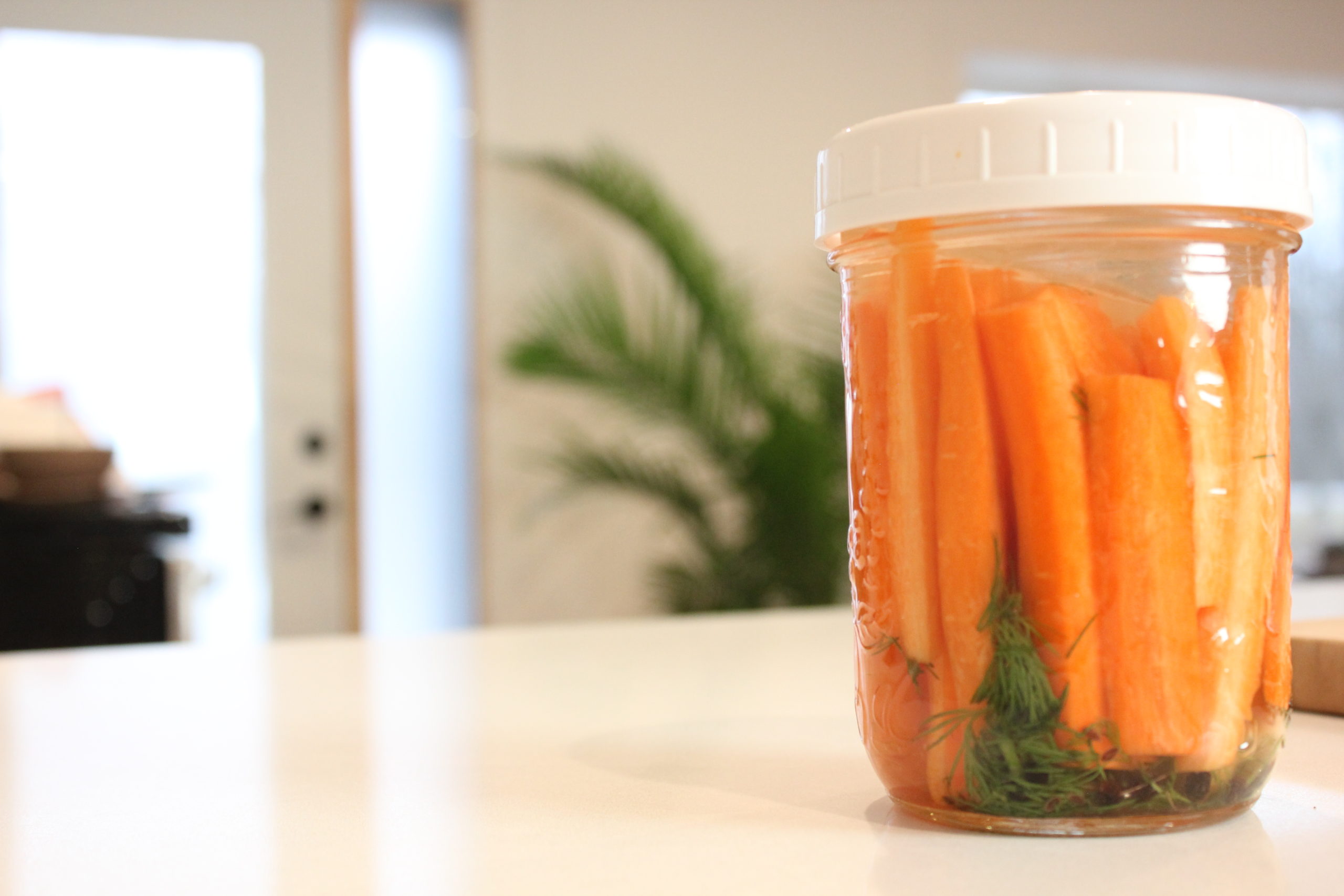 Fermented Carrots 1