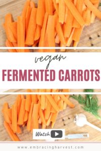 Fermented Carrots