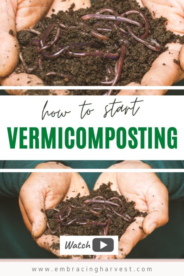 Vermicomposting - Embracing Harvest