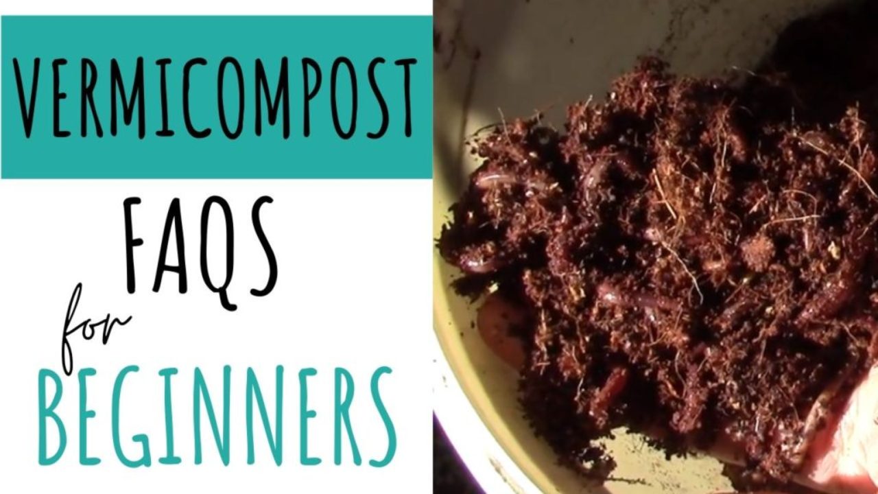 vermicomposting worm compost for beginners thumbnail