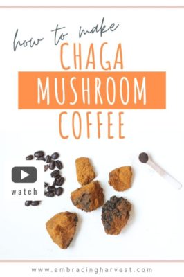 Chaga Mushroom Coffee