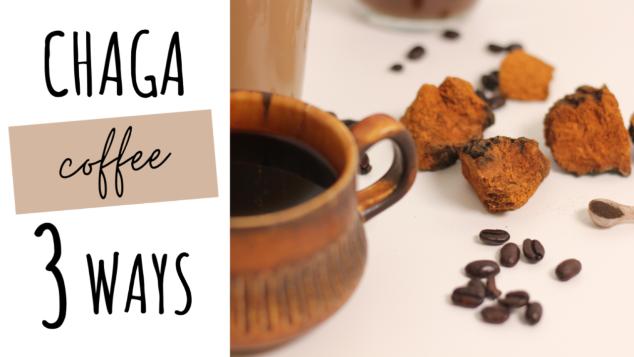 Chaga mushroom coffee recipe