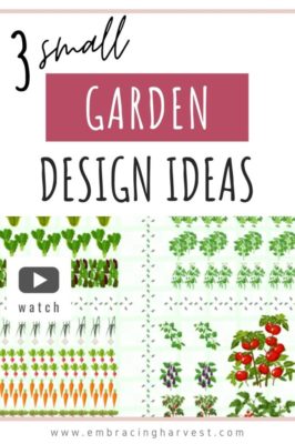 small garden design 2