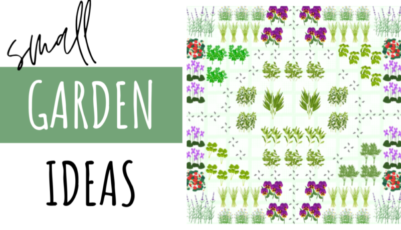 small garden design templates thumbnail