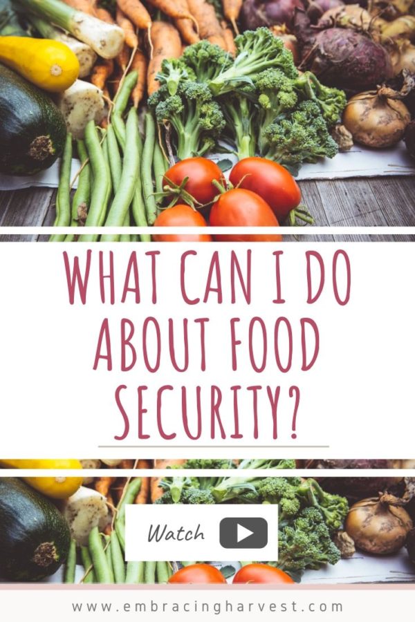 what-is-food-security-and-why-is-it-important-an-interview-with-ralph