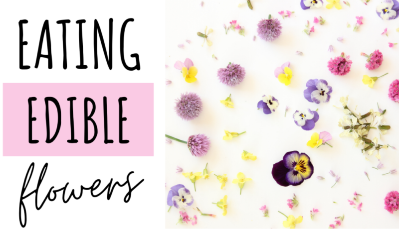 Edible Flowers Recipes