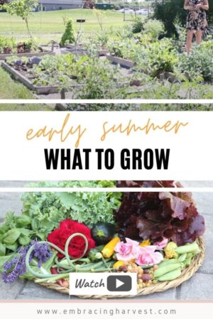 Early Summer Fruits and Vegetables to Grow