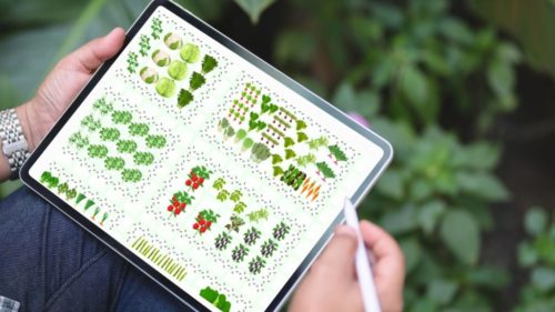 Garden Planner - Tablet - Embracing Harvest