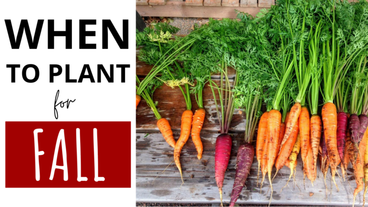 Fall Garden Planning Vegetable Garden Planning App