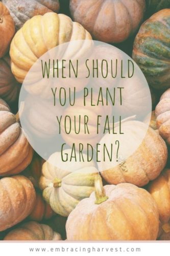 When to plant a fall garden