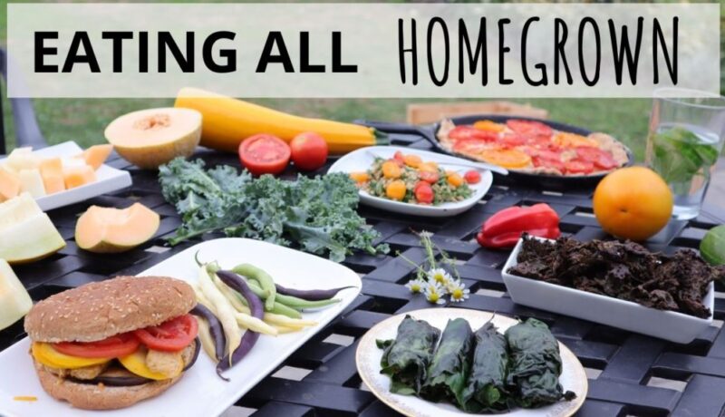 i ate everything from my own garden what I ate in a day from my garden