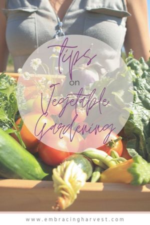 What I wish I knew when starting a vegetable garden