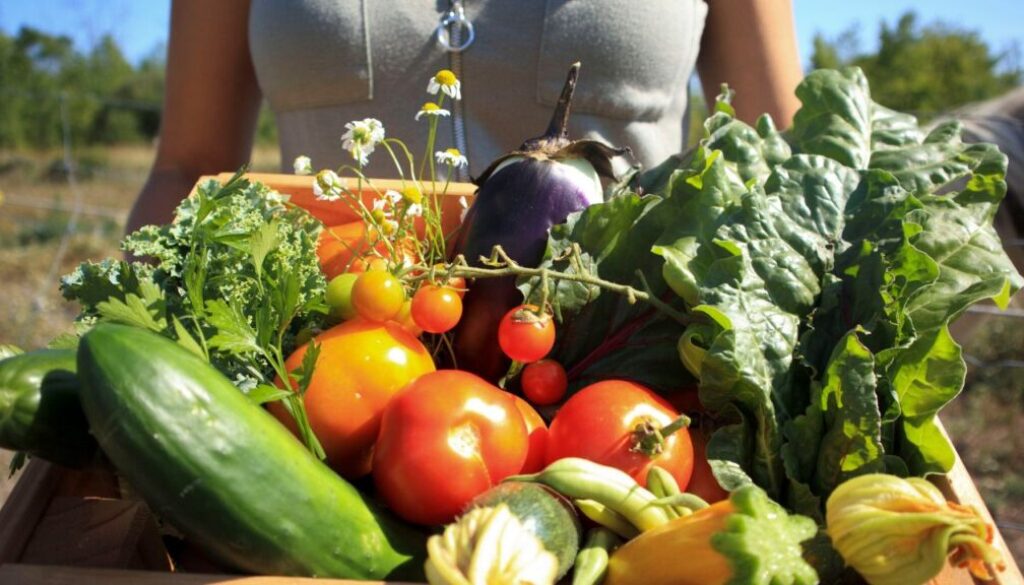 what I wish I knew before starting vegetable garden