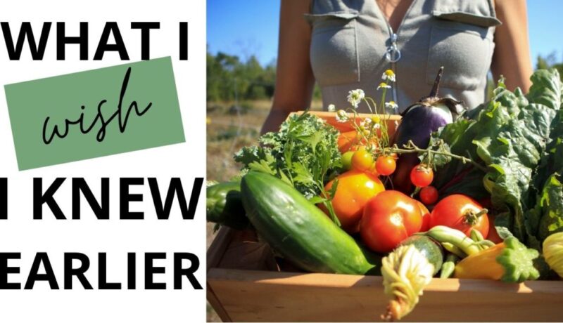 what I wish i knew I knew about starting a vegetable garden