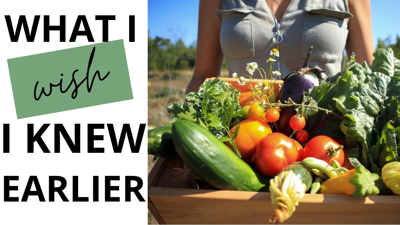 what I wish i knew I knew about starting a vegetable garden