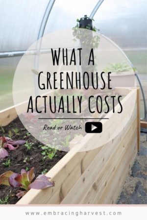 greenhouse kit greenhouse cost pinterest