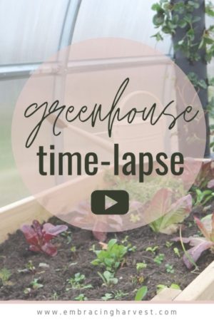 greenhouse kit build time lapse