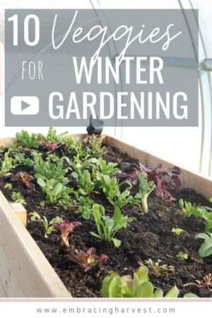Cold Hardy Vegetables for winter gardening