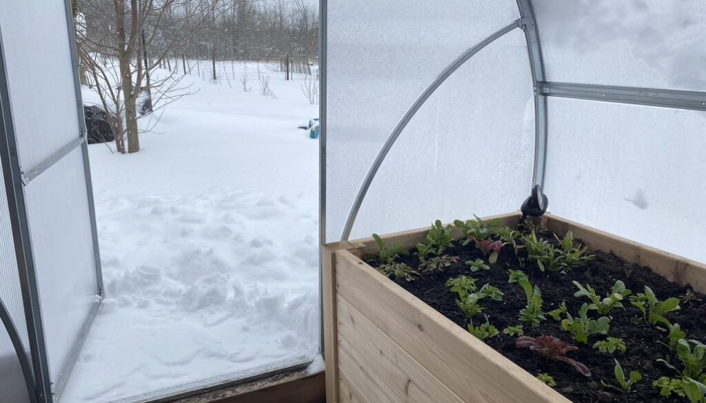 winter garden