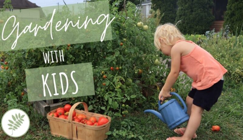 organic gardening with kids