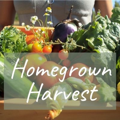 Homegrown Harvest Course
