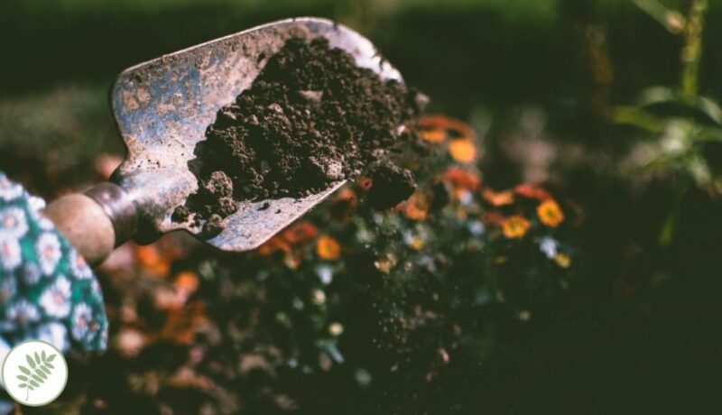 best gardening supplies