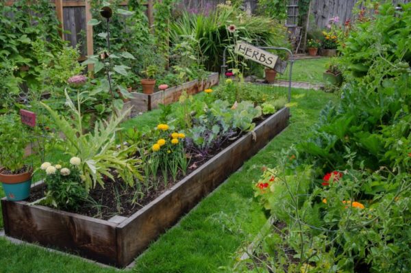 garden raised beds in tight space