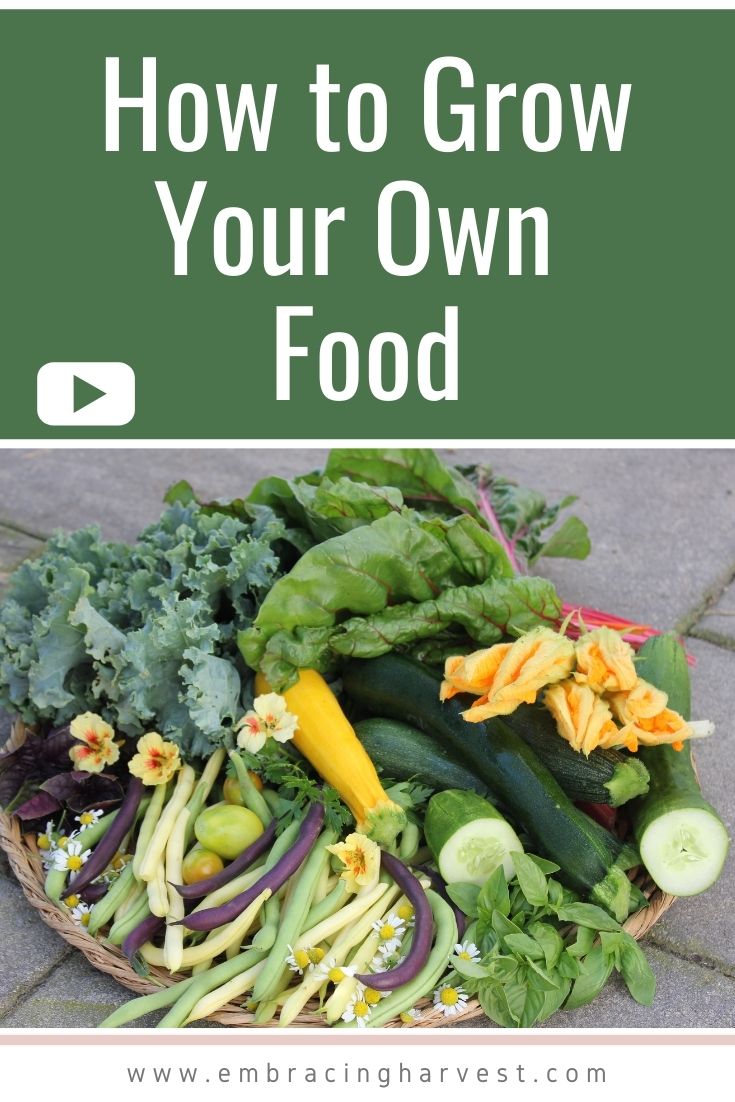 How to Grow Your Own Food (Even If You’ve Never Gardened Before ...