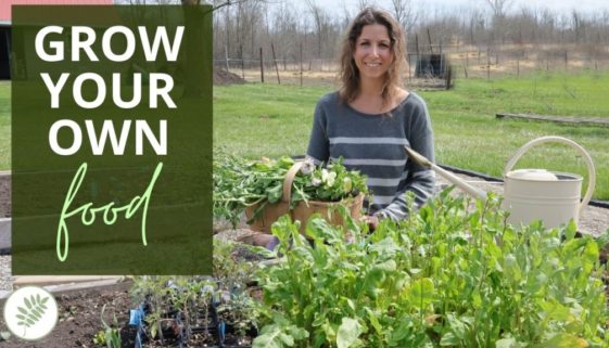 learn to grow your own food
