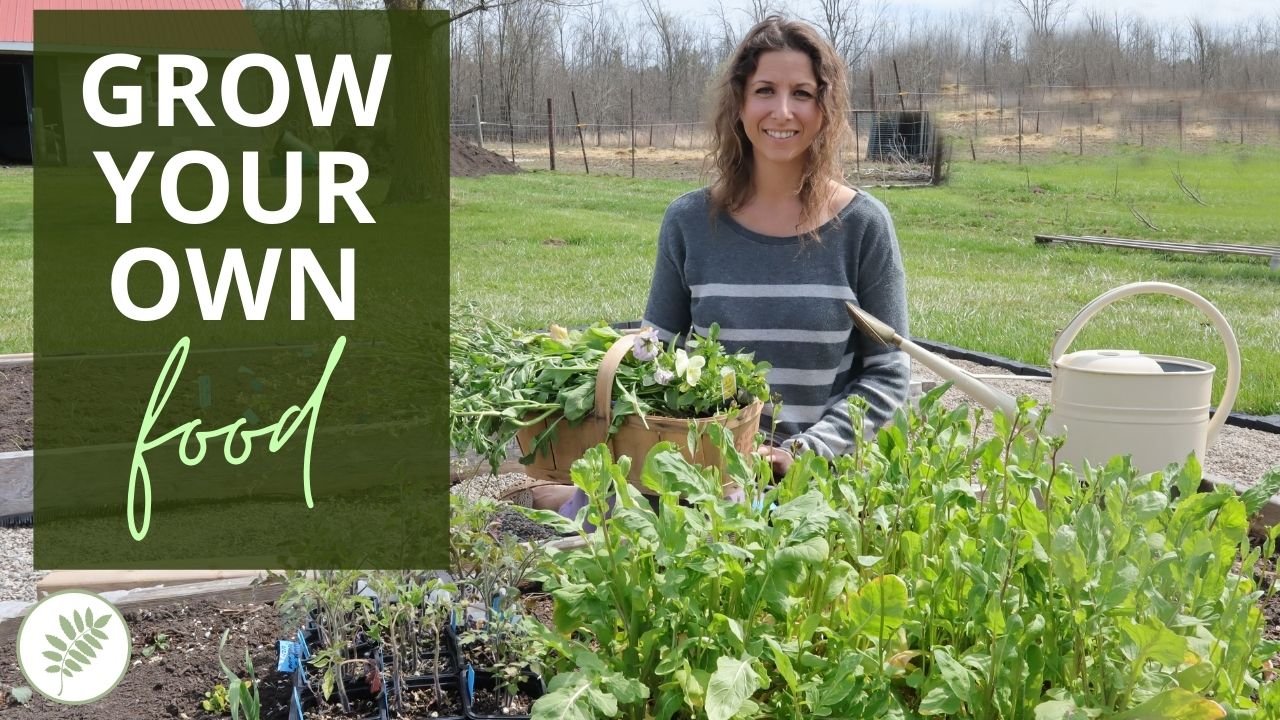 How to Grow Your Own Food (Even If You’ve Never Gardened Before ...
