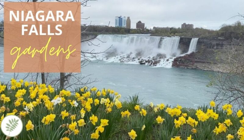 2021 YouTube thumbnails & on-screen images (1)