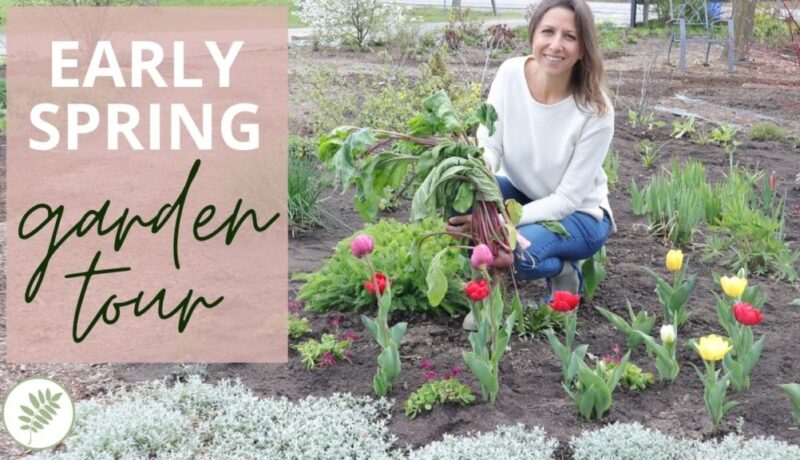 Early Spring Garden Tour
