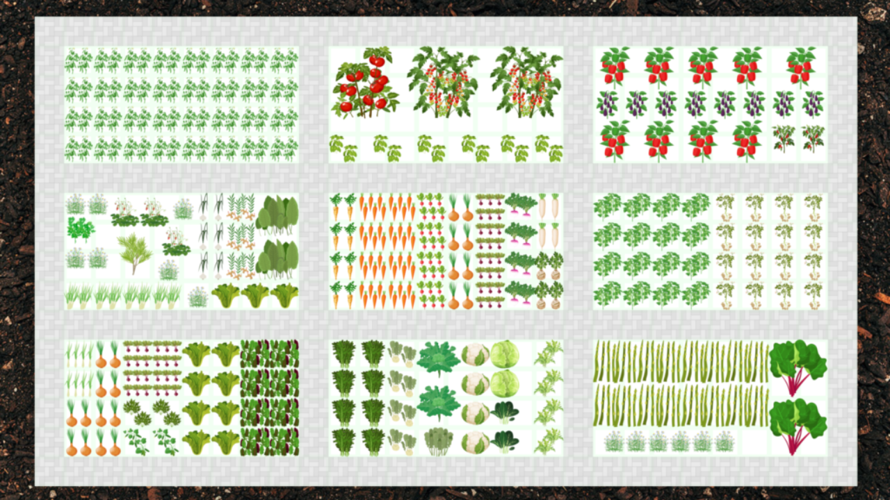 garden-planner-garden-design-embracing-harvest