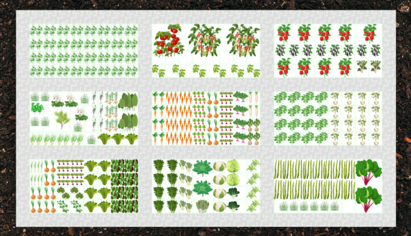 garden-planner-garden-design-embracing-harvest