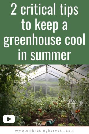 Greenhouse in Summer 1