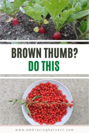 Fix your Brown Thumb