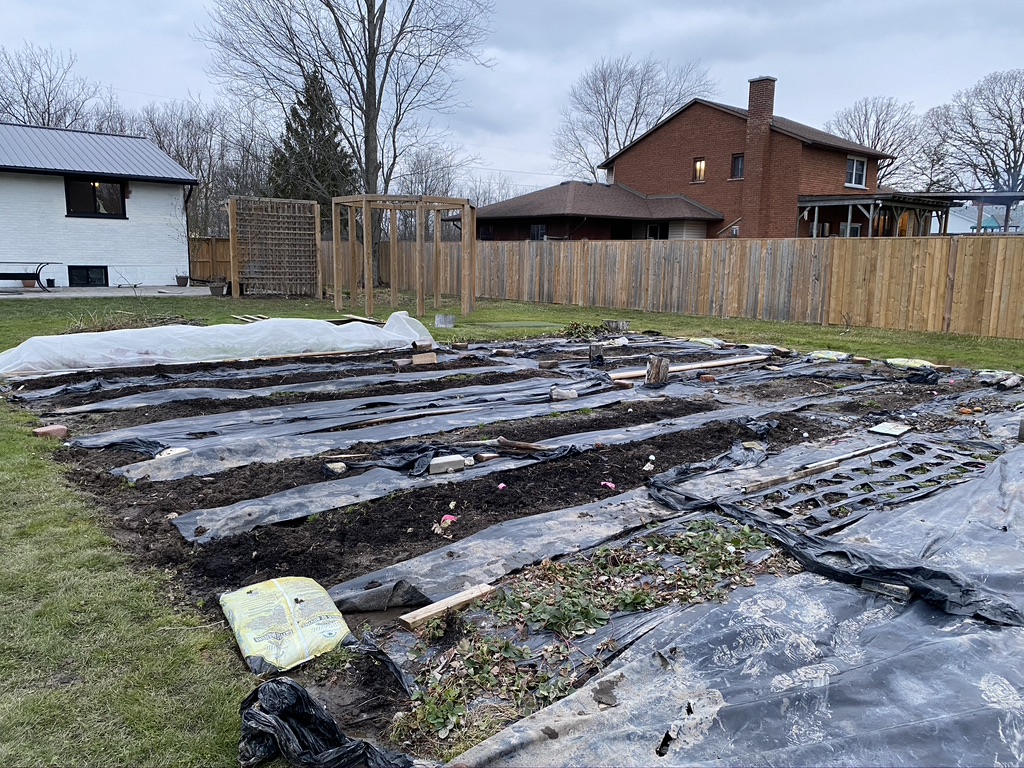 garden fabric garden fabric