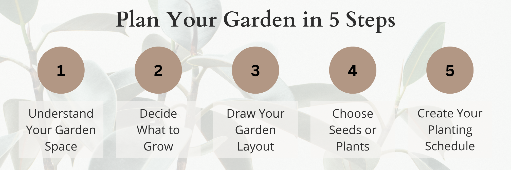 Plan Your Garden in 5 Steps