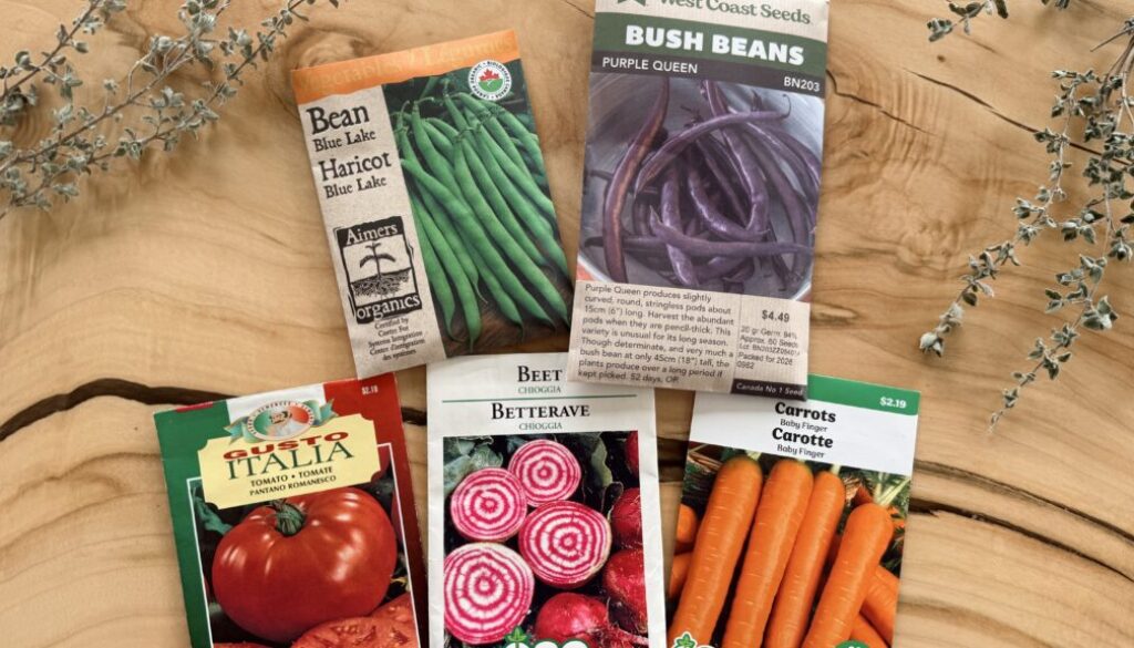 vegetable seed packets on wooden table for garden planning