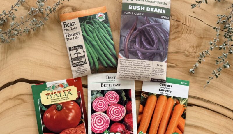 vegetable seed packets on wooden table for garden planning