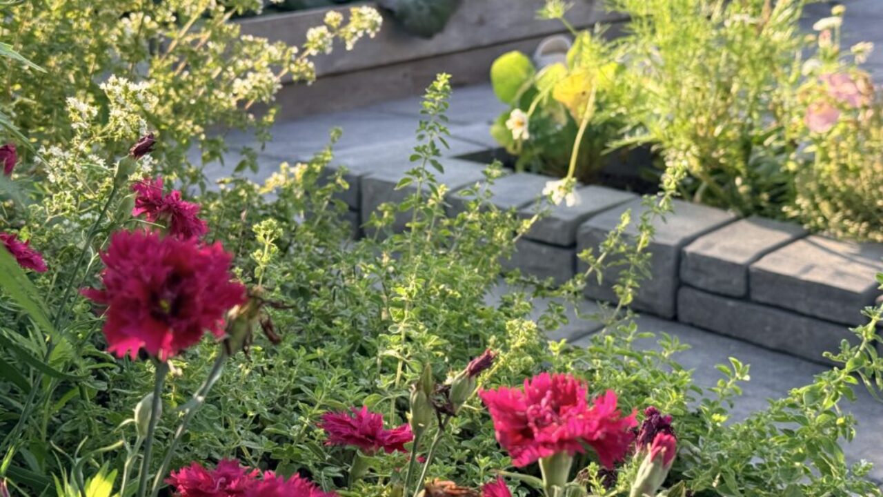 Companion planting flowers and herbs among vegetable garden beds